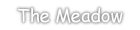 Introduction to The Meadow