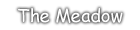 Introduction to The Meadow