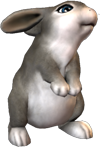 bunny